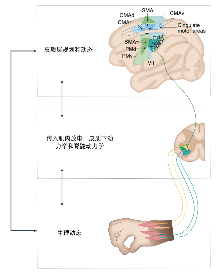 图示

描述已自动生成